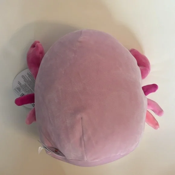 Squishmallows 8" Cailey The Crab with Starfish Stuffed Animal Toy - Picture 3 of 9
